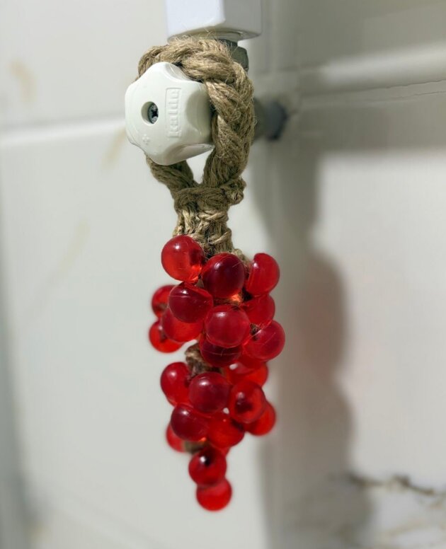 Handcrafted grapes handwash soap